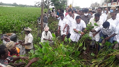 மானங்கொண்டான் ஆற்றில் வெங்காயத்தாமரை செடிகள் அகற்றும் பணி தொடக்கம்