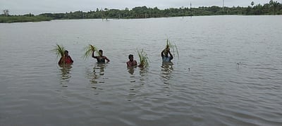 மழை பாதிப்பு: ஏக்கருக்கு ரூ. 40 ஆயிரம்நிவாரணம் வழங்க விவசாயிகள் வலியுறுத்தல்