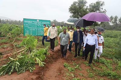 வேலூரில் மத்திய குழு ஆய்வு