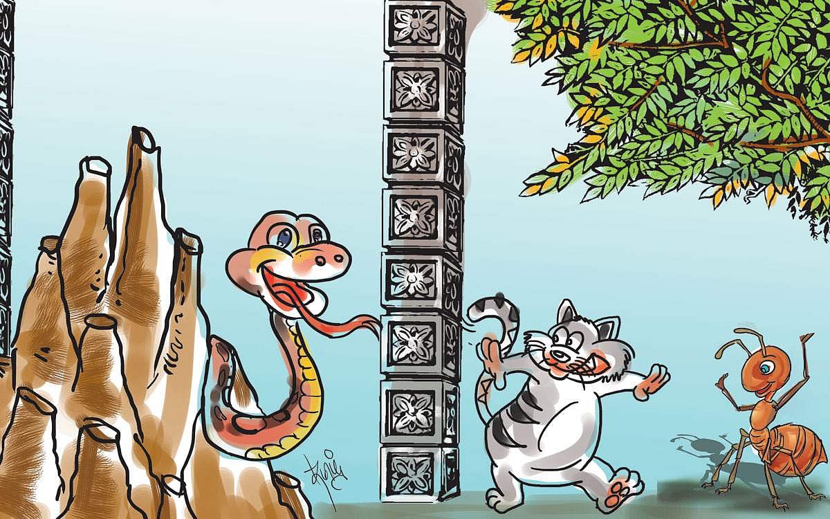 அரங்கம்: பாம்பும் எறும்பும் சொன்ன (அறிவியல்) உண்மை!