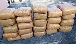 ரயிலில் கடத்திவரப்பட்ட 10 கிலோ கஞ்சா பறிமுதல்