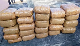 சேலம் வழியாக ரயிலில் கடத்தப்பட்ட 15 கிலோ கஞ்சா பறிமுதல்