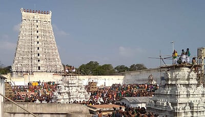 திருச்செந்தூர் சுப்ரமணிய சுவாமி கோயிலில் தை உத்திர வருஷாபிஷேக விழா