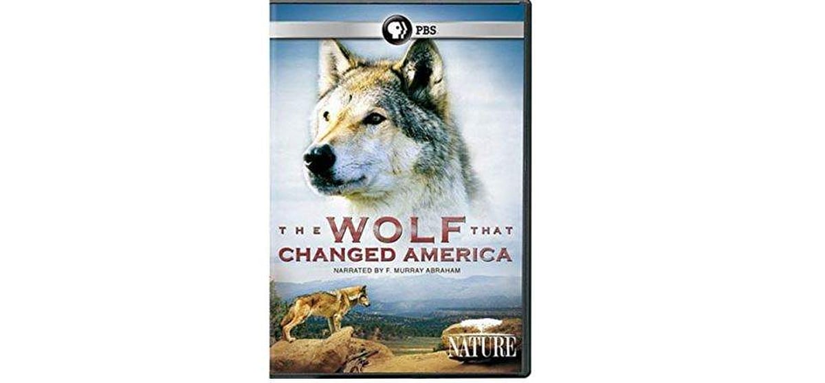 மனிதர் உணர்ந்துகொள்ள இது மனிதக் காதல் அல்ல! அமெரிக்காவையே மாற்றிய அற்புதக் காதல்!