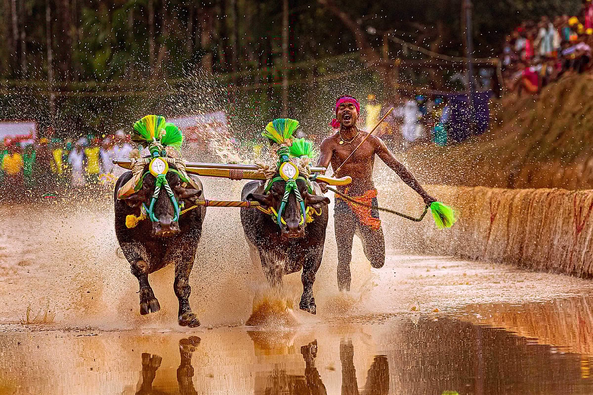 ஜிம்முக்குச் சென்றது கிடையாது: ‘இந்திய உசைன் போல்ட்’ சீனிவாச கெளடாவின் சிக்ஸ் பேக் உடற்கட்டுக்கான ரகசியம் என்ன?