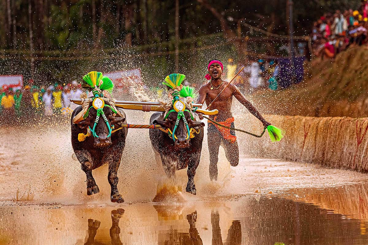 ஜிம்முக்குச் சென்றது கிடையாது: ‘இந்திய உசைன் போல்ட்’ சீனிவாச கெளடாவின் சிக்ஸ் பேக் உடற்கட்டுக்கான ரகசியம் என்ன?