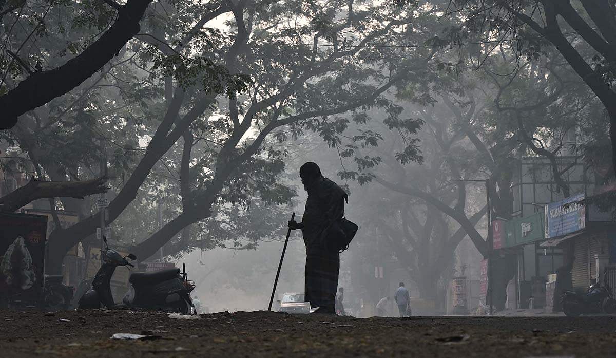 இதமான குளிர் ஞாயிறு: தில்லிப் பனிமூட்டம்