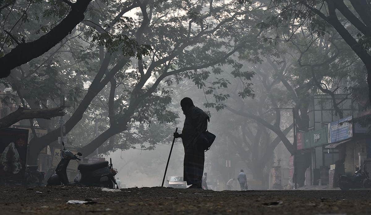 இதமான குளிர் ஞாயிறு: தில்லிப் பனிமூட்டம்