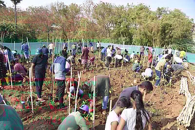 தமிழகத்தில் முதல்முறையாக பெரியார் பல்கலை.யில் அடர்வனம் உருவாக்கும் பணிகள் தொடக்கம்