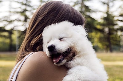 செல்லப்பிராணிகள் வைத்திருப்பவரா நீங்கள்..?