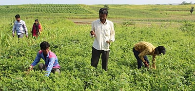 காயப்படுத்திய தருணங்களே மனதில் ஆழமாகப் பதிந்திருந்தது: கரும்புத் தோட்டத்தில் தேசம்மாவுக்கு நேர்ந்த அவலம்