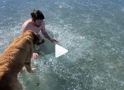 தொடரும் டிக்டாக் விபரீதங்கள்: நூலிழையில் உயிர் தப்பிய நபர்! அதிர்ச்சி விடியோ