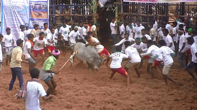 மணப்பாறை அடுத்த புறத்தாக்குடியில் புனித வனத்து அந்தோனியார் ஆலய திடலில் ஜல்லிக்கட்டு 