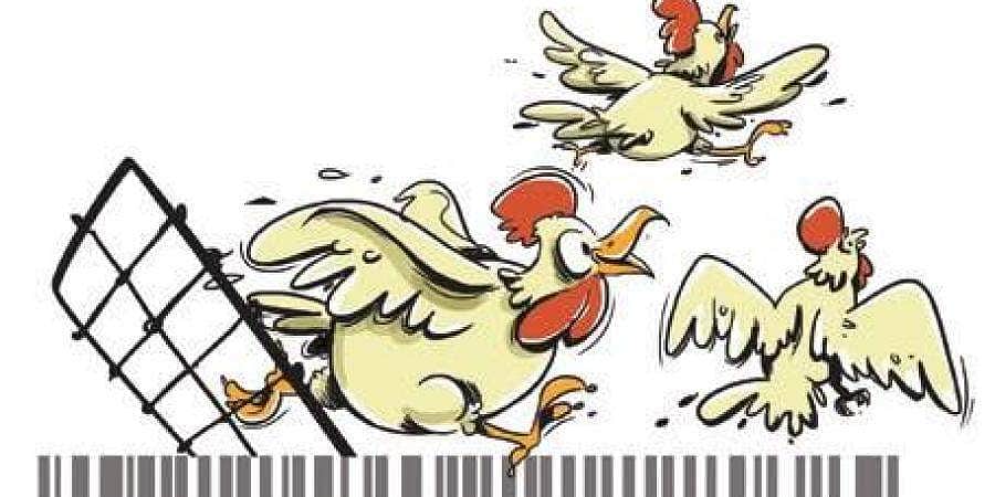 கரோனா மற்றும் கோழிக்கறி மீதான பயத்தைப் போக்க என்ன செய்திருக்கிறார்கள் பாருங்கள்