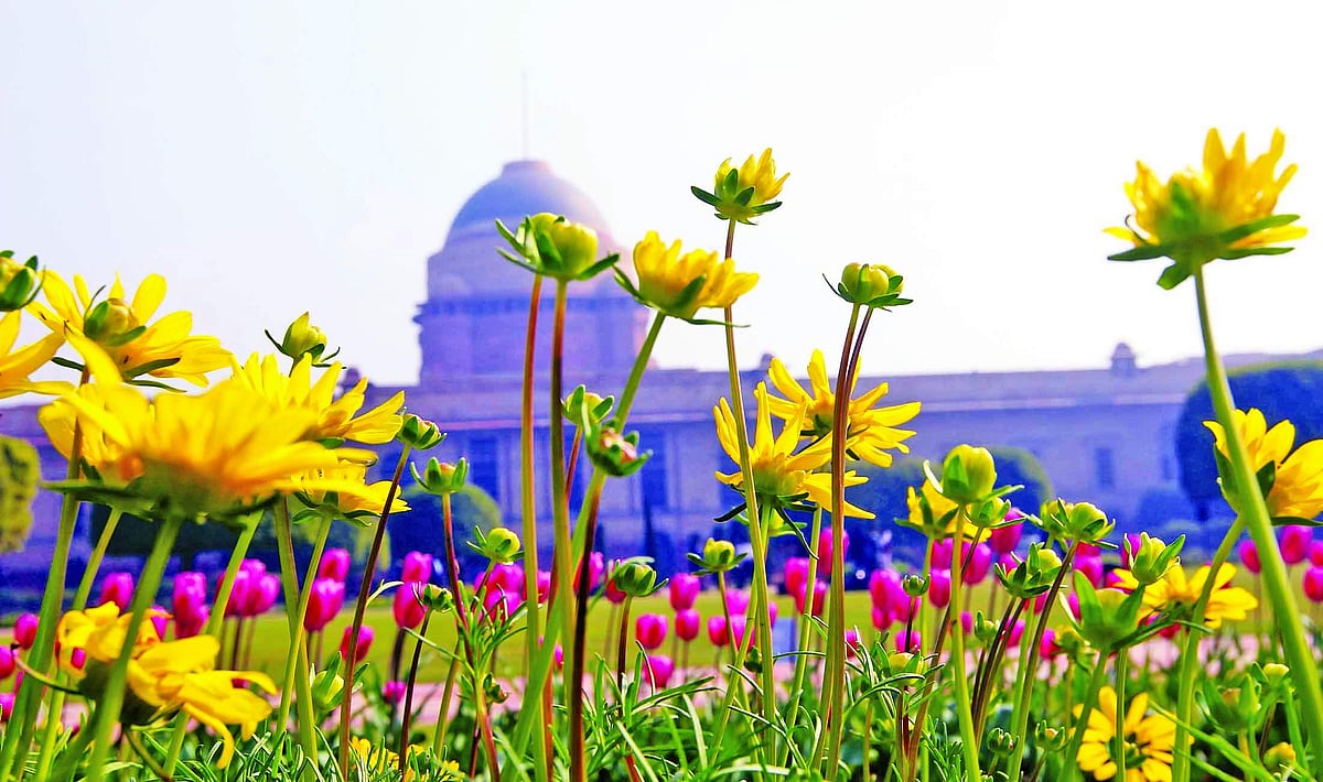 'மொகல் தோட்டம்' மக்கள் பார்வைக்கு பிப். 5இல் திறப்பு