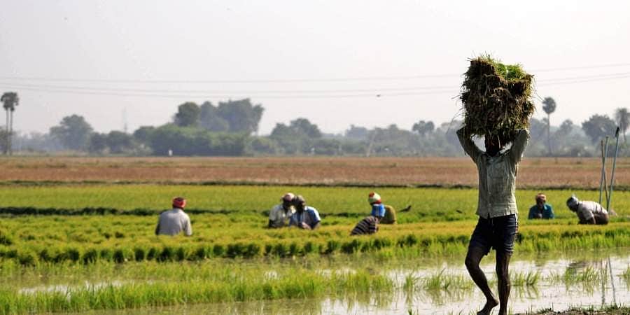 விவசாயிகள் தொடர் போராட்டம்