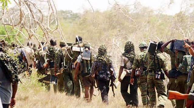 புலிகளுக்கு எதிரான போரில் பிரிட்டிஷ் கூலிப்படை: இந்தியா பயன்படுத்தியதாகத் தகவல்