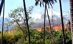 கோடைக்காலம் தொடங்கியது! வனப்பகுதியில் காட்டுத் தீ ஏற்பட வாய்ப்பு!