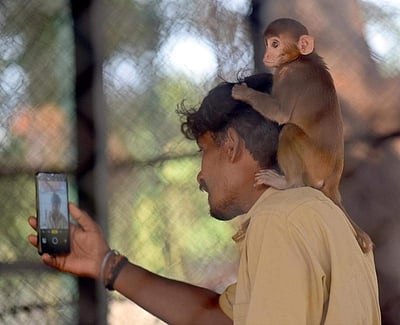 கிண்டி சிறுவர் பூங்கா