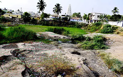 சங்ககிரியில் தண்ணீரின்றி வறண்டு கிடக்கும் ராஜபாலி குளம்
