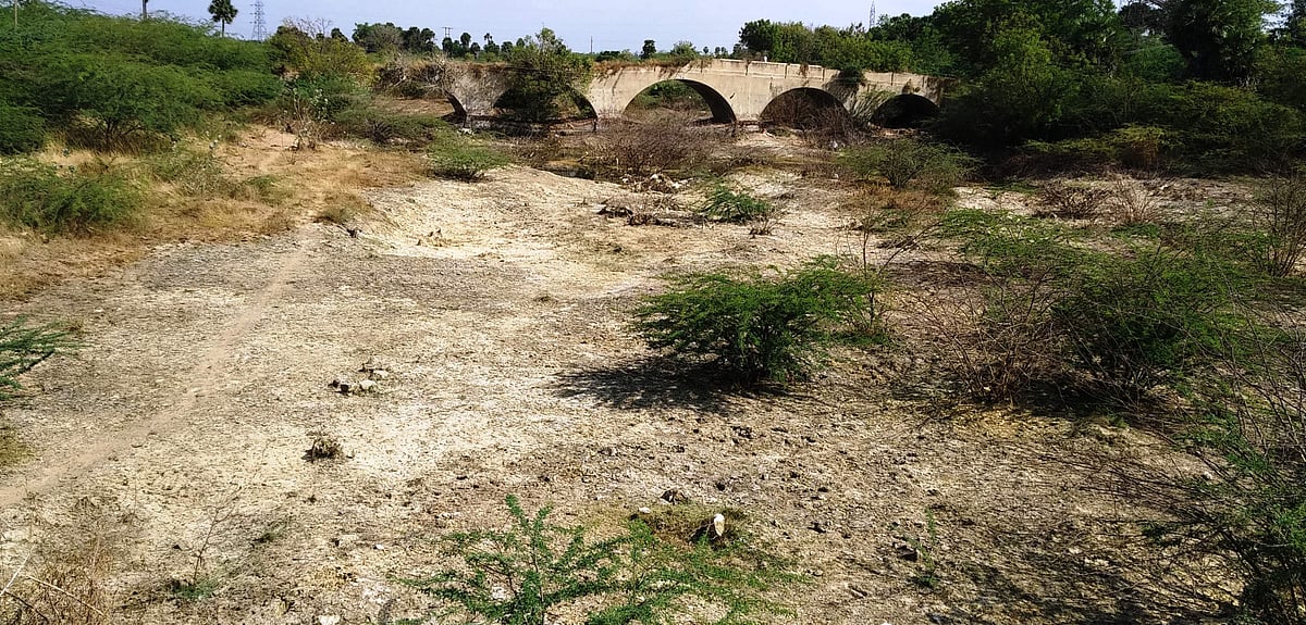 சிவகங்கை மாவட்டத்தில் மாயமாகும் சிற்றாறுகள்