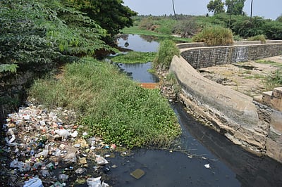 அழிவை நோக்கிச் செல்லும் நொய்யல் ஆறு: மீட்டெடுக்க வேண்டியது அனைவரின் பொறுப்பு