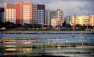 குடியிருப்புகளான சென்னை ஏரிகள்