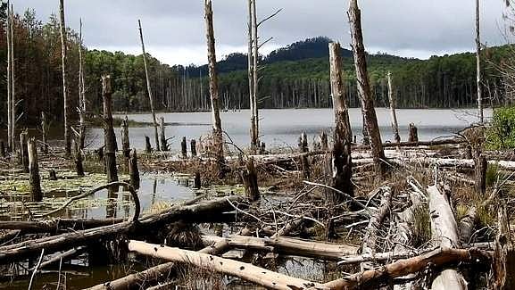 உயரத்தைக் கூட்டாததால் நீர் குறையும் கோணலாறு நீர்த்தேக்கம்