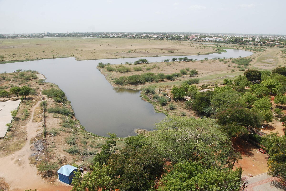 உருமாறிப் போன வண்டியூா் கண்மாய்