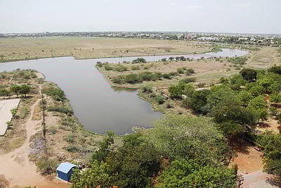 உருமாறிப் போன வண்டியூா் கண்மாய்