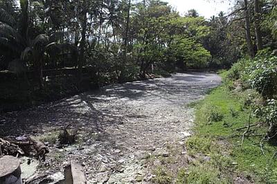 கழிவுநீா், ஆக்கிரமிப்பு: வற்றாத வராக நதியின் புனிதம் காக்கப்படுமா?