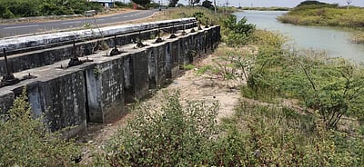 சுருங்கி உப்புக் கரிக்கும் ராமநாதபுரம் சக்கரைக்கோட்டை கண்மாய்