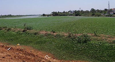 'குட்டை'யாகிறது சமுத்திரமாக இருந்த ஏரி