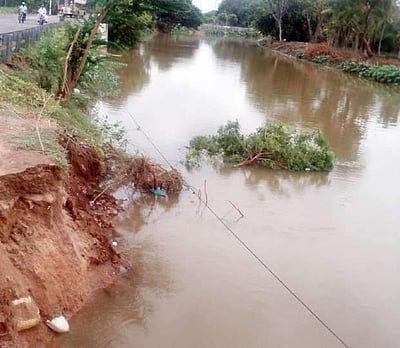 கரைகளைத் தேடும் காவிரி பாசனக் கால்வாய்கள்