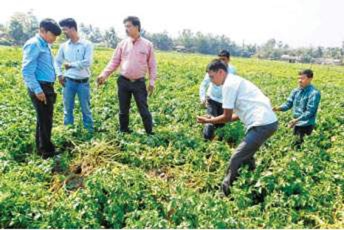 பின்னேற்பு மானியத் திட்டங்களில் குளறுபடி: நெருக்கடியில் வேளாண் அலுவலர்கள்!