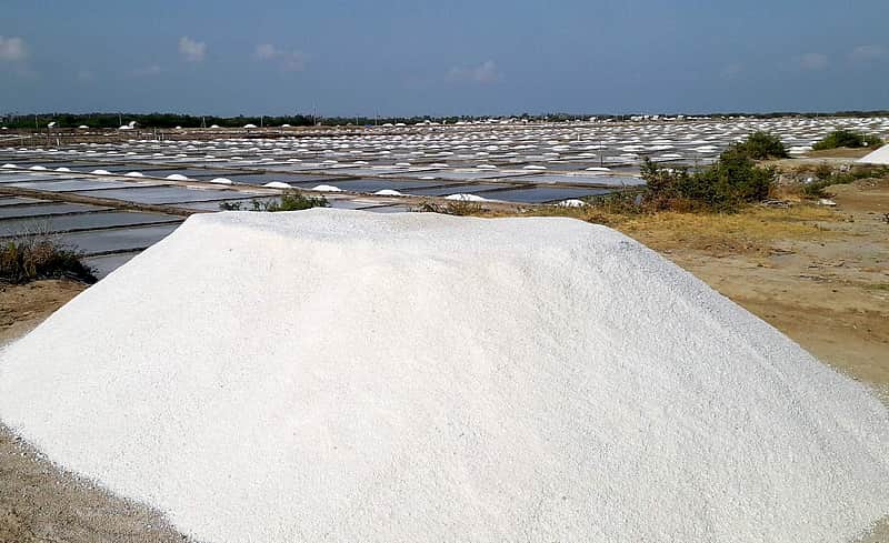 Thoothukudi salt pan workers seek better welfare support as...