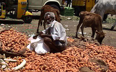 கொட்டப்படும் காய்கறிகள்