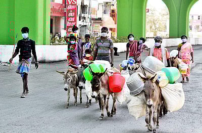 வாழ்வாதாரமின்றி நடந்தே ஊர்திரும்பும் கழுதை பால் விற்போர்