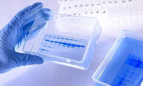 மும்பையில் உயிரிழந்த மருத்துவருக்கு கரோனா இருந்தது உறுதி