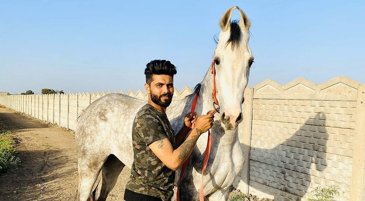 ஓய்வுக் காலத்தில் குதிரையேற்றப் பயிற்சியில் ஈடுபடும் ஜடேஜா (விடியோ)