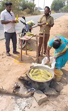 மக்காச்சோளக் கதிா் விற்பனை மூலம் வருவாயைப் பெருக்கும் மகளிா்!