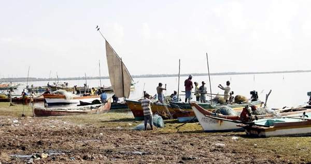 கடை விரித்தும் கொள்வாரில்லை: மலிந்த மீன்கள்