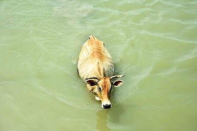 சென்னையில் வெறிச்சோடிய சாலைகள் - 24வது நாள்