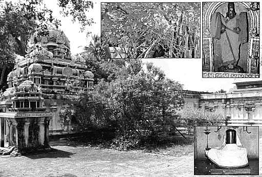 ஆத்தி மரத்தடியில் அமர்ந்த பரமன்!