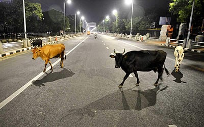 சென்னையில் வெறிச்சோடிய சாலைகள் - 25வது நாள்