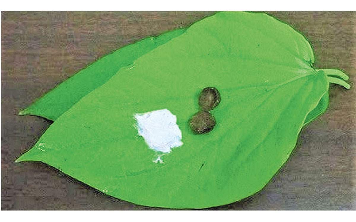 ஆயுள் காக்கும் ஆயுர்வேதம்: கிருமிகளை எதிர்த்துப் போராடும் வெற்றிலை, பாக்கு!