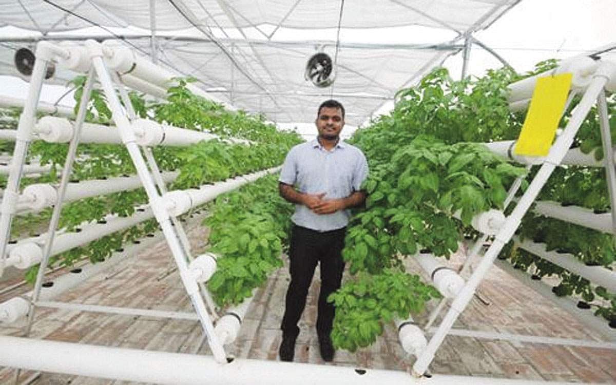 ஐ.டி ஊழியரின் புதிய விவசாய முறை