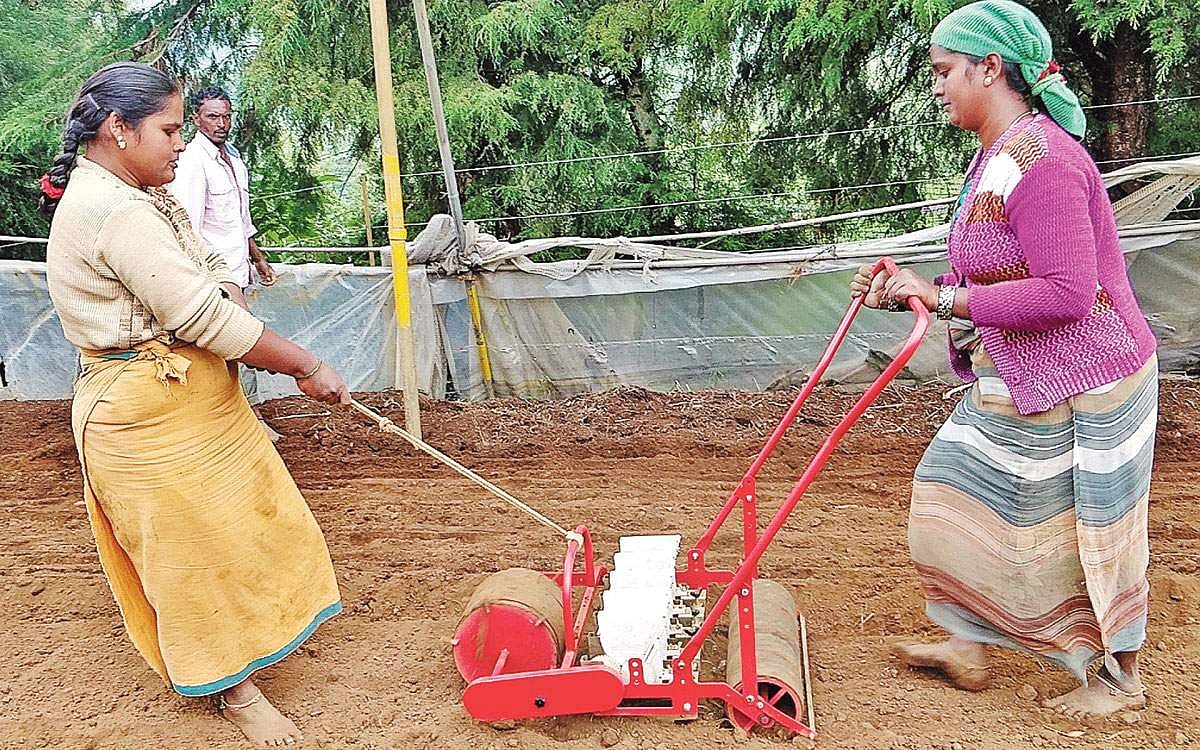 பொறியியல் பட்டதாரிகள் உருவாக்கிய நவீன விதைக்கும் கருவி!