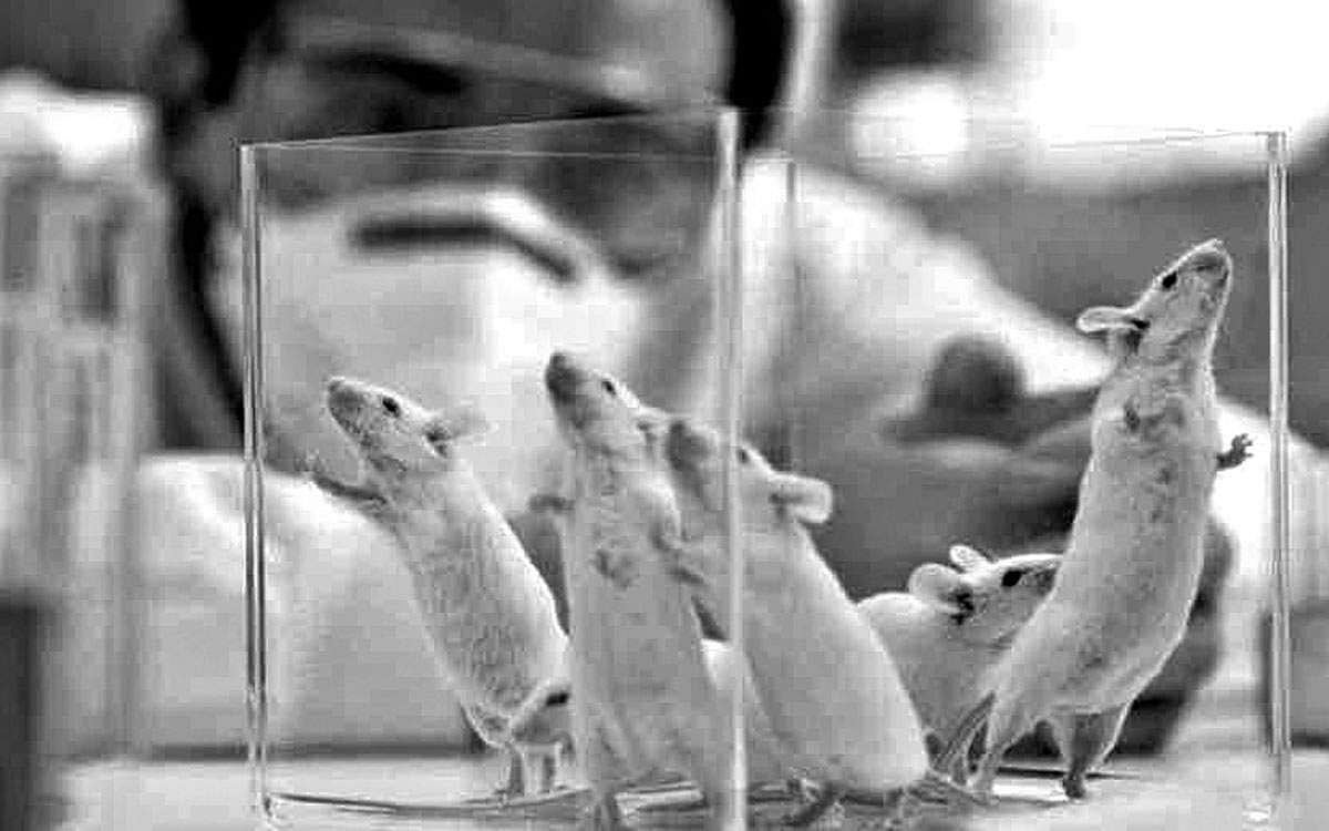 மிச்சமெல்லாம் உச்சம் தொடு - 65: கிருமி சிந்தித்தால் அழிவு... மனிதன் சிந்தித்தால் வாழ்வு!