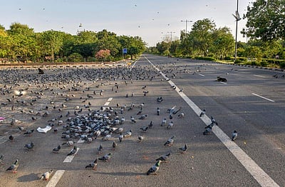 ஊரடங்கு உத்தரவு - 29வது நாள்